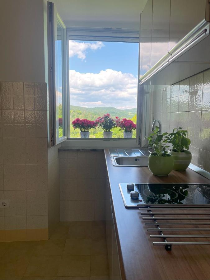 Apartment Kastel Pazin Ngoại thất bức ảnh